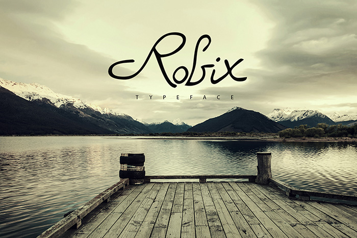 Robix 1 2340x1560